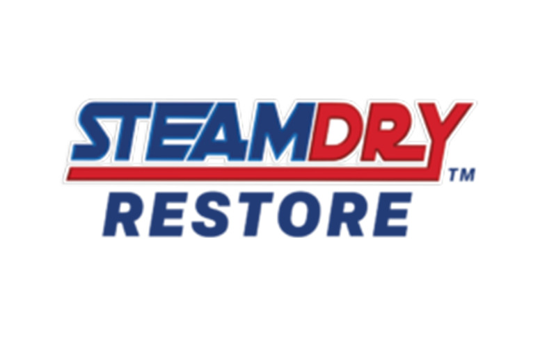 SteamDry Restore